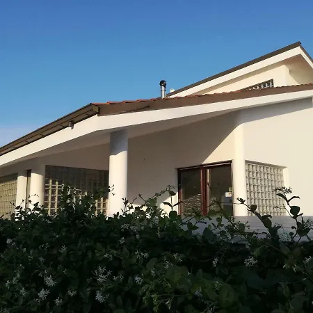 Belvedere